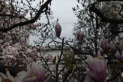 DSC_7001 (Large).JPG